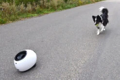 Flamingo Jouet Chien Elton Interactif Distributeur Automatique De Friandises+balles De Tennis 33x24x29cm -Flamingo 02aa38468598e63ce58c87dd484a5eb633240d07bb52fbc7bc270faa4d486951