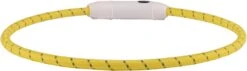 Flamingo Collier Led Visio Light Nylon Réfléchissant Jaune 33-63,5cm 8mm