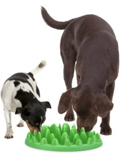 Flamingo Gamelle Anti-glouton Northmate Green Vert 40x30x10cm -Flamingo 3bd69df38c899d0127b8891c10859befa4b75c6b60e1a92b37e8a12483df8c13