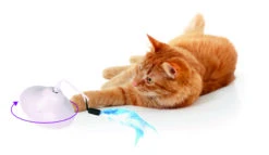 Flamingo Jouet Chat Scully Electro Dia. 9,7cm -Flamingo 3d4ac882144732a573bc9a9fe49e8486bec0b72ce14c568f12cc401fda006346