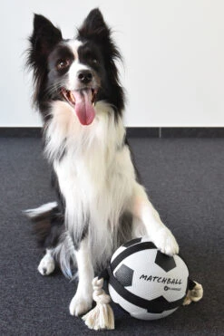 Flamingo Jouet Chien Matchball Balle De Foot 12,5cm -Flamingo 40ceb270f0ae1d84ac34a9c72537280e20e86552eaf2ba2e45995c5537755e53 1