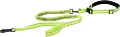 Flamingo Laisse Pour Le Jogging + Ceinture Ventrale Diran L Laisse 103cm / Ceinture 100-130cm
