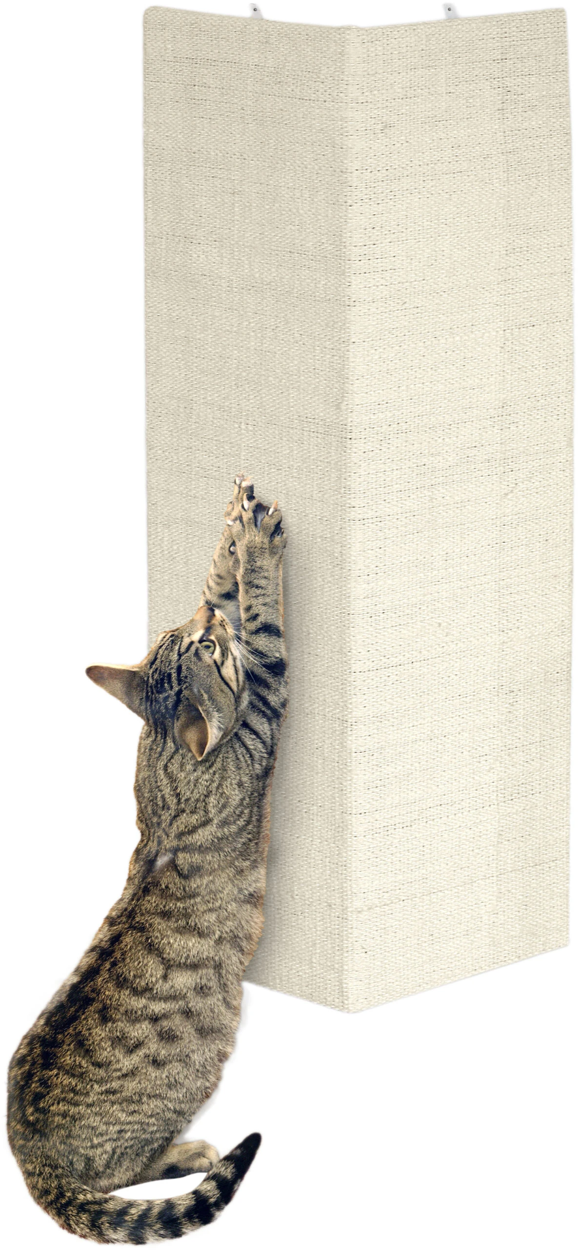 Flamingo Griffoir Sisal Beige 28x80 3 Flamingo Griffoir Sisal Beige 28x80 – Image 3