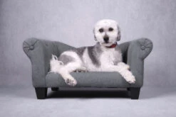 Flamingo Sofa Maximilien Gris 71x45x34cm -Flamingo 520605 S 01