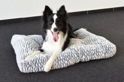 Flamingo Coussin Snoozzy Rectangulaire Gris/noir 60x45x10cm -Flamingo 530e10257ee4a8e8a1bc4b32d1438d21e90871c4b1b568bcbf54cebe8348f118