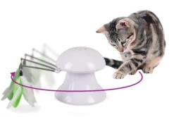 Flamingo Jouet Chat Laser Avec Plumes 2in1 -Flamingo 5a63b950d42d1de609093f10995375db81899024e8eb684eba5f45a769a02b7a