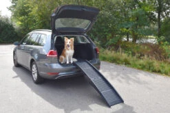 Flamingo Rampe Chien Pliante En Plastique 150x39,5x13 -Flamingo 5ca98fedbefa67c07256cd242fb42cb0056e98299ed78ee7fa2cf8dc123e7565