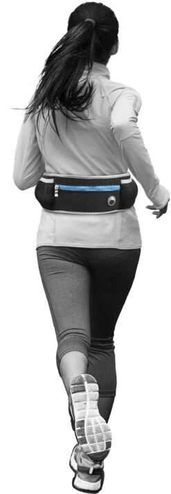 Flamingo Laisse Pour Le Jogging + Ceinture Ventrale Rono Bleu Laisse 180-250cm / Ceinture 79,5-140cm -Flamingo 5e807bf9126f227ace8c0299c944c3f4dab4a2624bea87788bb01fc17ca24512 1