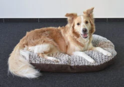 Flamingo Coussin Snoozzy Ovale Fermeture Eclair Brun 90x66x10cm -Flamingo 637512647d721696dc3779cc78818d65a2760ed947c44a595a1ea79f07552dfb 1