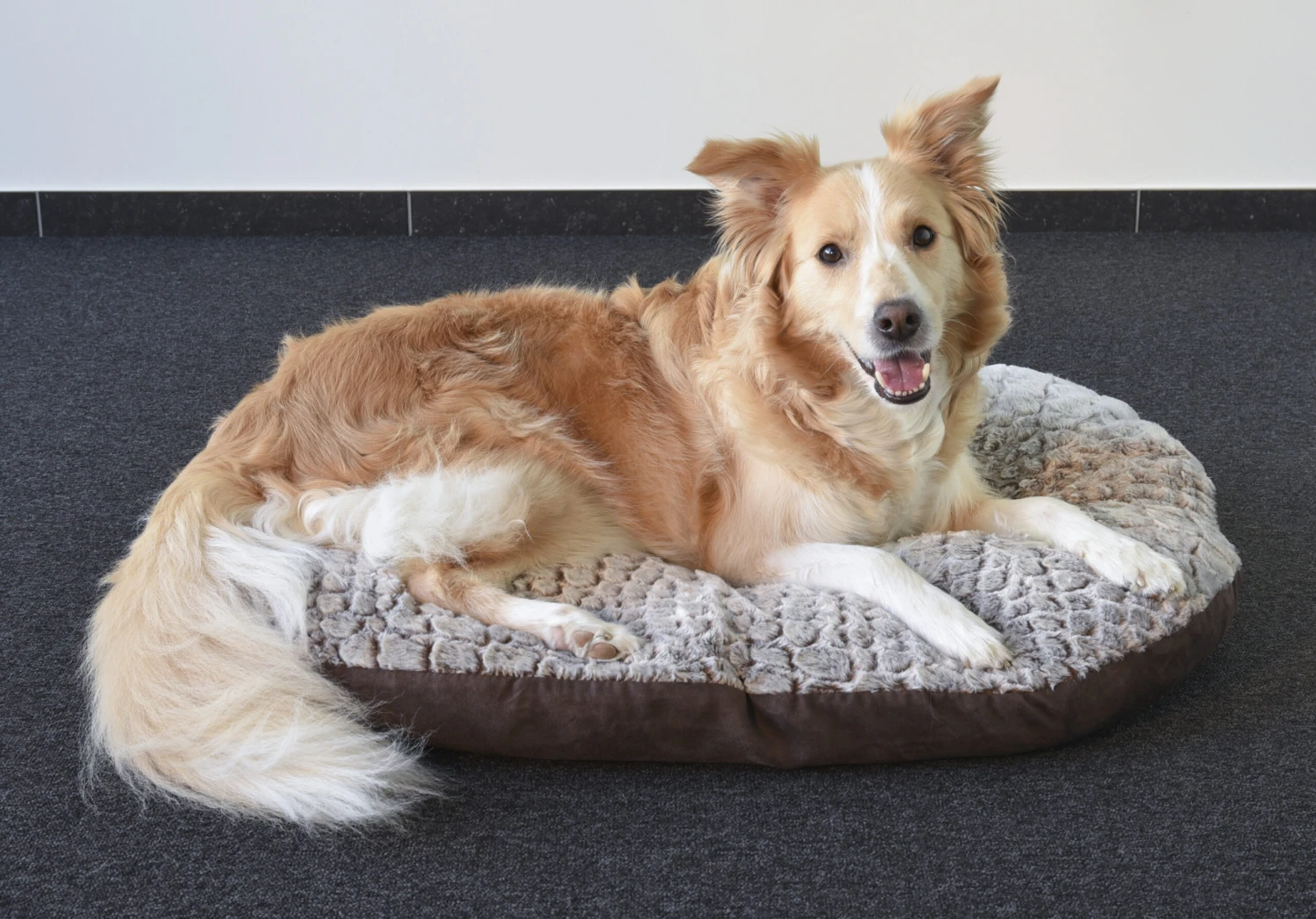 Flamingo Coussin Snoozzy Ovale Fermeture Eclair Brun 90x66x10cm 3 Flamingo Coussin Snoozzy Ovale Fermeture Eclair Brun 90x66x10cm – Image 3