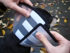 Flamingo Carcan Capo 38,5cm -Flamingo 6a49ce8ac076c3841c6f50f7e51b24655faca046434a3c86371644c1769f8e05