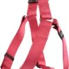 Flamingo Harnais Step&go Ziggi Rouge Cerise 40-70cm 25mm