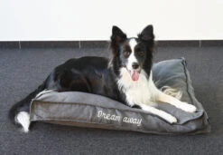 Flamingo Coussin Dream Away Rectangulaire+rebord+fermeture Eclair Gris 80x60x10cm -Flamingo 8b20af957cd0e9159fdaec088098026b839b1c665fc0ece7ca837051d3f8cebf 1