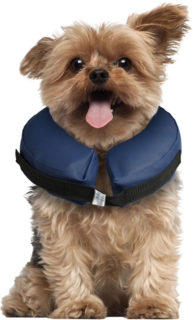 Flamingo Collier Gonflable Pour Chiens Gofi Xs 4 Flamingo Collier Gonflable Pour Chiens Gofi Xs – Image 4