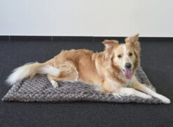 Flamingo Coussin Cuddly Plat Rectangulaire Taupe 85,5x51x2cm -Flamingo a4786eba1a7de2cc9ddc5f3f610a55677acd27983c0428209d2a3e502232cc72