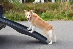 Flamingo Rampe Chien Pliante En Plastique 150x39,5x13 -Flamingo afd13099f3486cf54e9ef19eb06f2dd5e8c0e5ae0d4f8b7e284c3b461515fa17