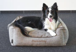 Flamingo Panier Snoozebay Rectangulaire Brun 70x60x22cm -Flamingo b09773f36fa6a771aefd4c945667880bf44da052370e01efc25c0ccae2c7e558 1