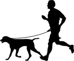 Flamingo Laisse Pour Le Jogging + Ceinture Ventrale Diran L Laisse 103cm / Ceinture 100-130cm -Flamingo b4703c644b1bce39aee273a7248cc80789abff62e15be4db28994a561ddda0c8