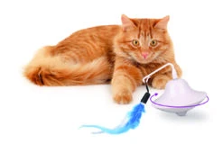 Flamingo Jouet Chat Scully Electro Dia. 9,7cm -Flamingo b9844104c47250fc7f535f3590b1b4419bc7e40968ece37baf777bb09b2f8ccf