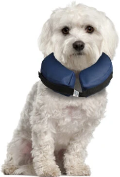 Flamingo Collier Gonflable Pour Chiens Gofi S -Flamingo c76564a084433e164fdda469521c2f8b95e5c504b608d8280deab069721e7d8e 1