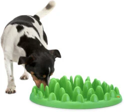 Flamingo Gamelle Anti-glouton Northmate Green Vert 40x30x10cm -Flamingo ca21cf77c020913a229f12bbf00744c386edd36c219b18ff30946abedd6b8831