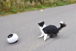 Flamingo Jouet Chien Elton Interactif Distributeur Automatique De Friandises+balles De Tennis 33x24x29cm -Flamingo cbb3ba05b8066ea246a2bc1a26978531b6e24a1e3315a5847be7e78fa7441235