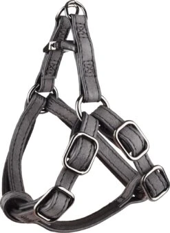 Flamingo Harnais Step&go Delu Noir 30-35cm 10mm