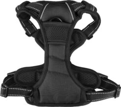 Flamingo Harnais Balou Noir M 50-65cm 25mm -Flamingo db74bc593781bbe2b1c5e052c0c8b2d59ac32999242552d436385f3178c11370 1