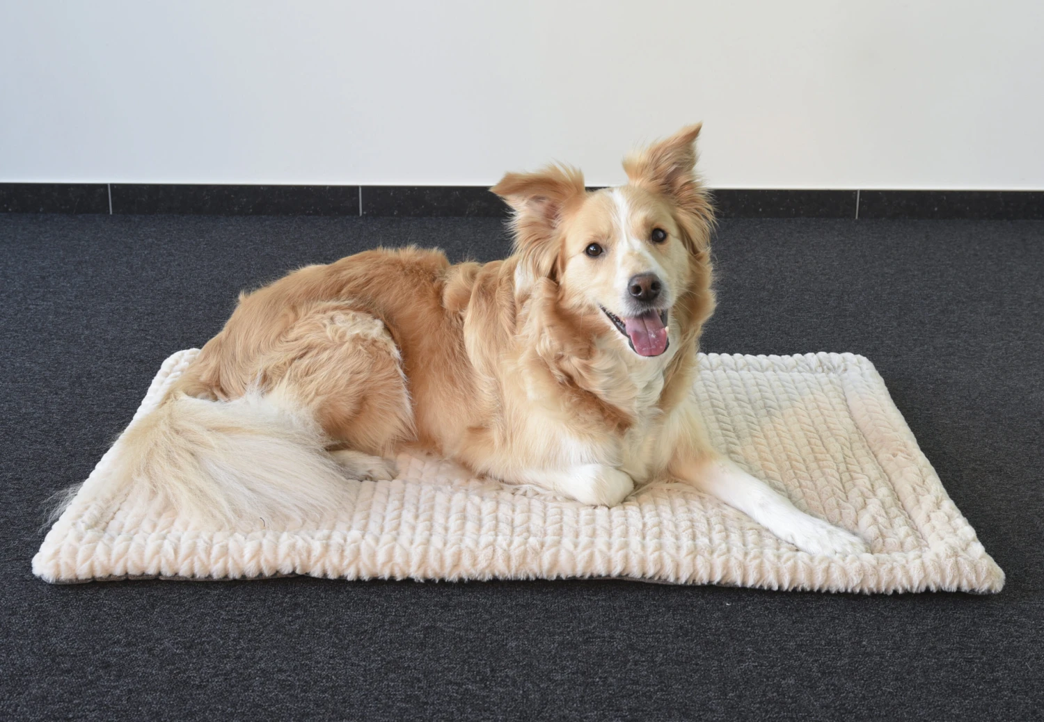 Flamingo Coussin Zupo Plat Rectangulaire Gris 100,5x63x2cm 4 Flamingo Coussin Zupo Plat Rectangulaire Gris 100,5x63x2cm – Image 4