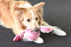 Flamingo Jouet Chien Peluche Andes Flamant Rose 36cm -Flamingo ed2d50211e2888730dfb561c12fb49e3b6842b0562aadf2de2065d6f320fa5c3