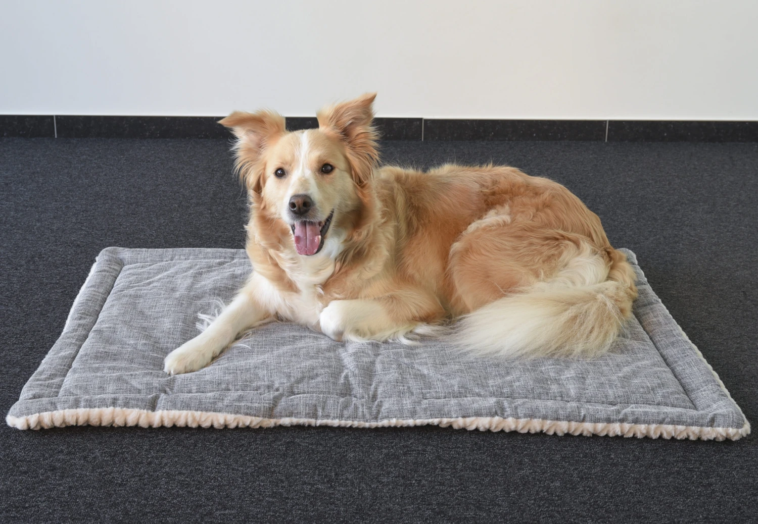 Flamingo Coussin Zupo Plat Rectangulaire Gris 100,5x63x2cm 5 Flamingo Coussin Zupo Plat Rectangulaire Gris 100,5x63x2cm – Image 5