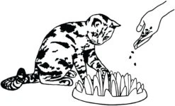 Flamingo Gamelle Anti-glouton Northmate Catch 27x23x8cm Violet 7 Flamingo Gamelle Anti-glouton Northmate Catch 27x23x8cm Violet -Flamingo edc72a656a40ed0f4f4be75cc91ef98d23cf8175636af623d70d9fdbaf48c07a