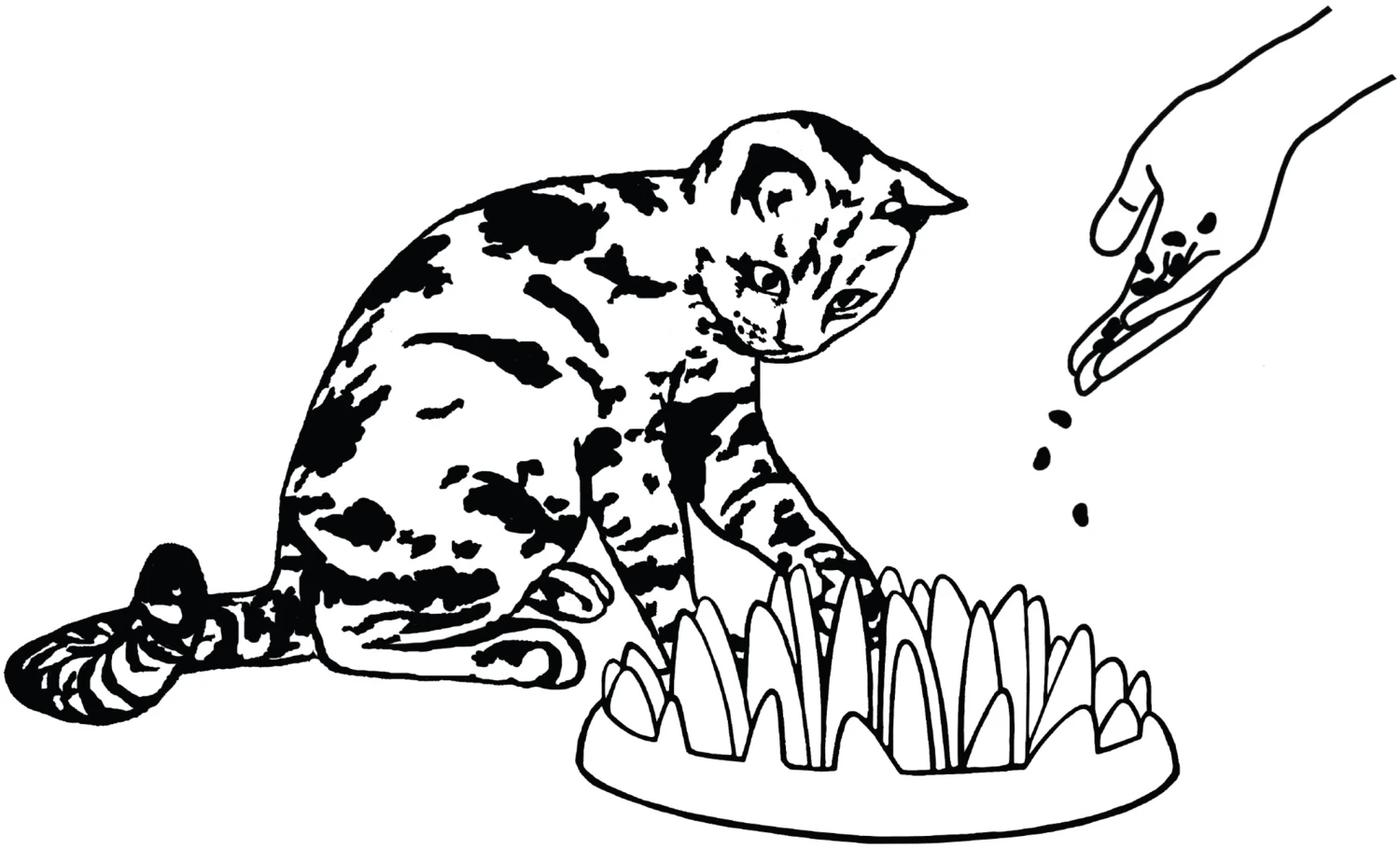 Flamingo Gamelle Anti-glouton Northmate Catch 27x23x8cm Violet 3 Flamingo Gamelle Anti-glouton Northmate Catch 27x23x8cm Violet – Image 3