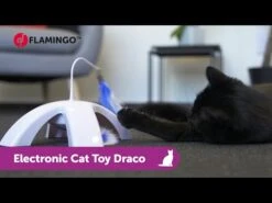 Flamingo Jouet Chat Draco Electro 23,2cm 11 Flamingo Jouet Chat Draco Electro 23,2cm -Flamingo hqdefault 4 2