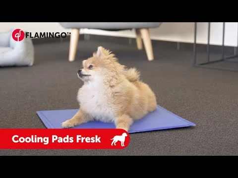 Flamingo Tapis Rafraîchissant Fresk - L (90x50cm) 4 Flamingo Tapis Rafraîchissant Fresk - L (90x50cm) – Image 4