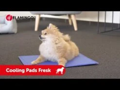 Flamingo Tapis Rafraichissant Fresk - Xl (100x60cm) -Flamingo hqdefault 5 3